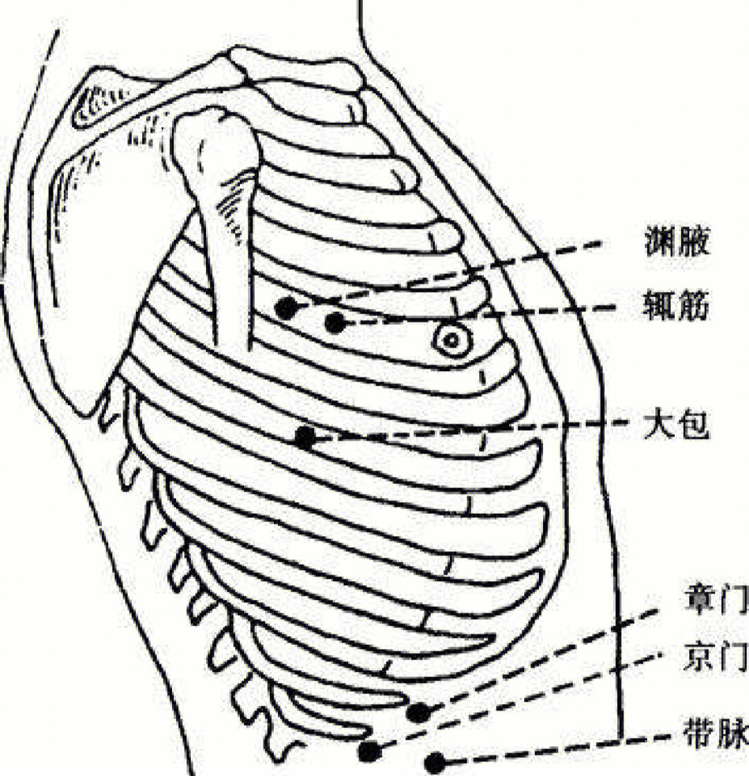 中医章门穴和京门穴的位置,可下针可艾灸