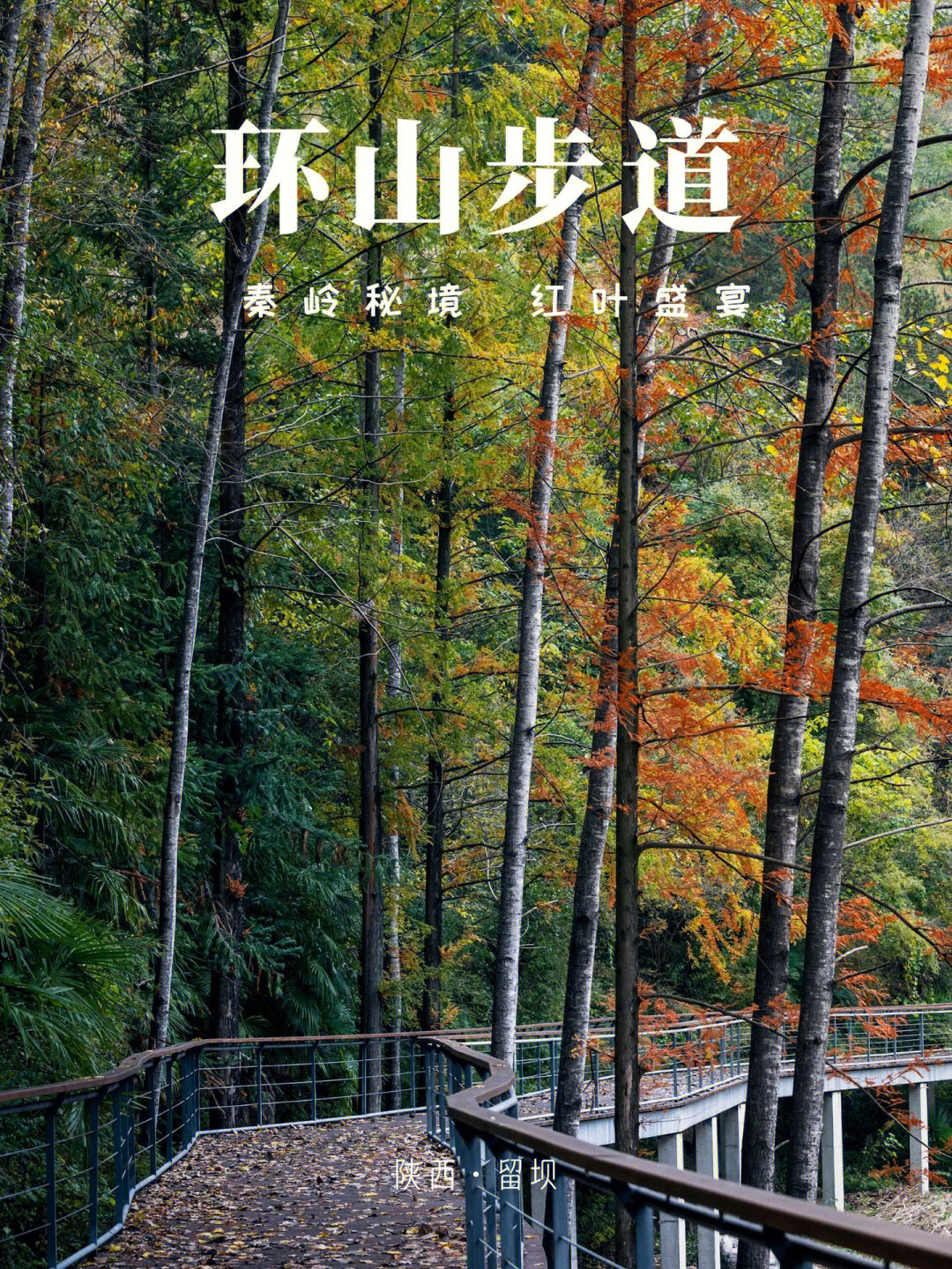 鹿寨山环山步道的介绍图片