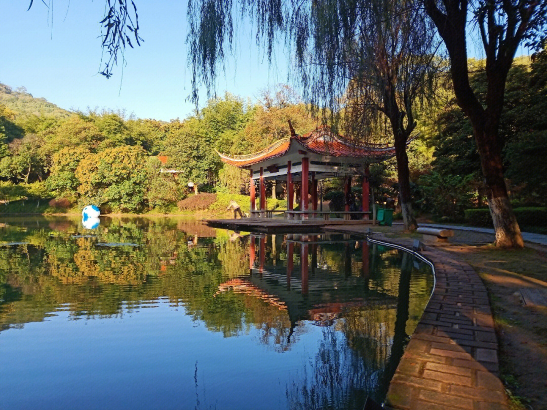 我眼中的秋天 : 株洲市石峰公园