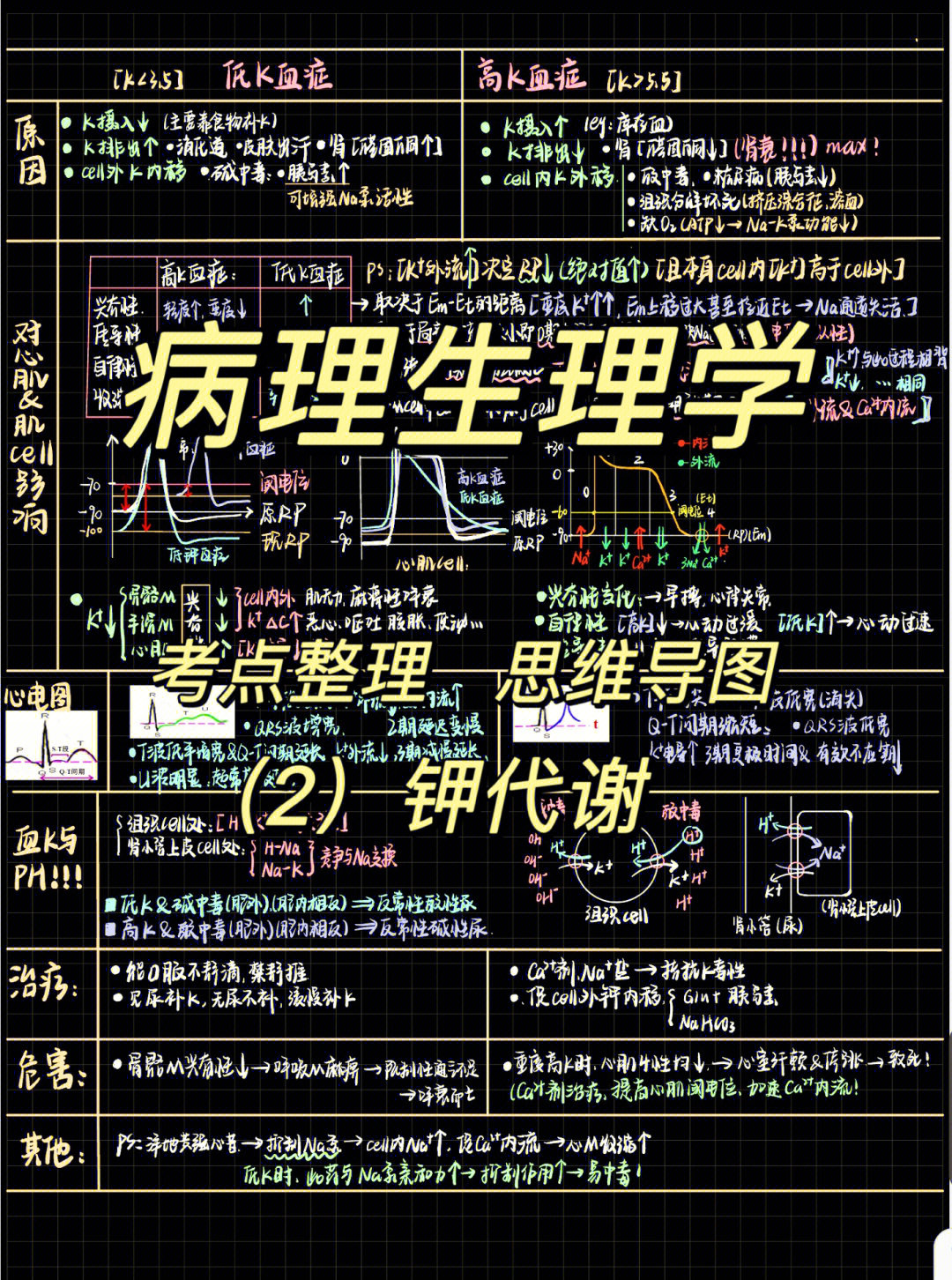 钾代谢紊乱思维导图图片