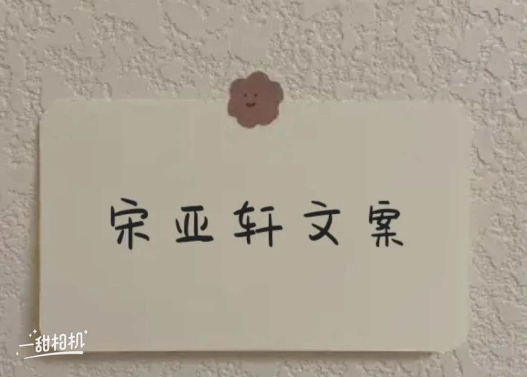 宋亚轩文案