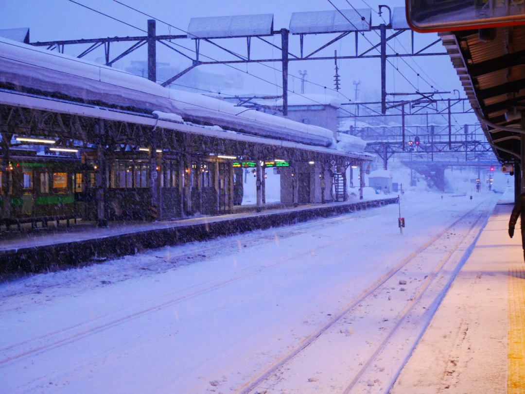 雪国列车蛋白棒图片