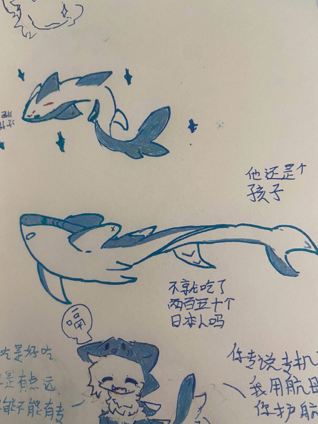 鲨鱼宝宝电子琴谱图片