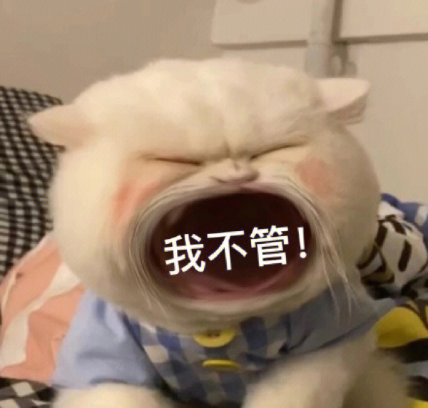 大嘴猫咪表情包