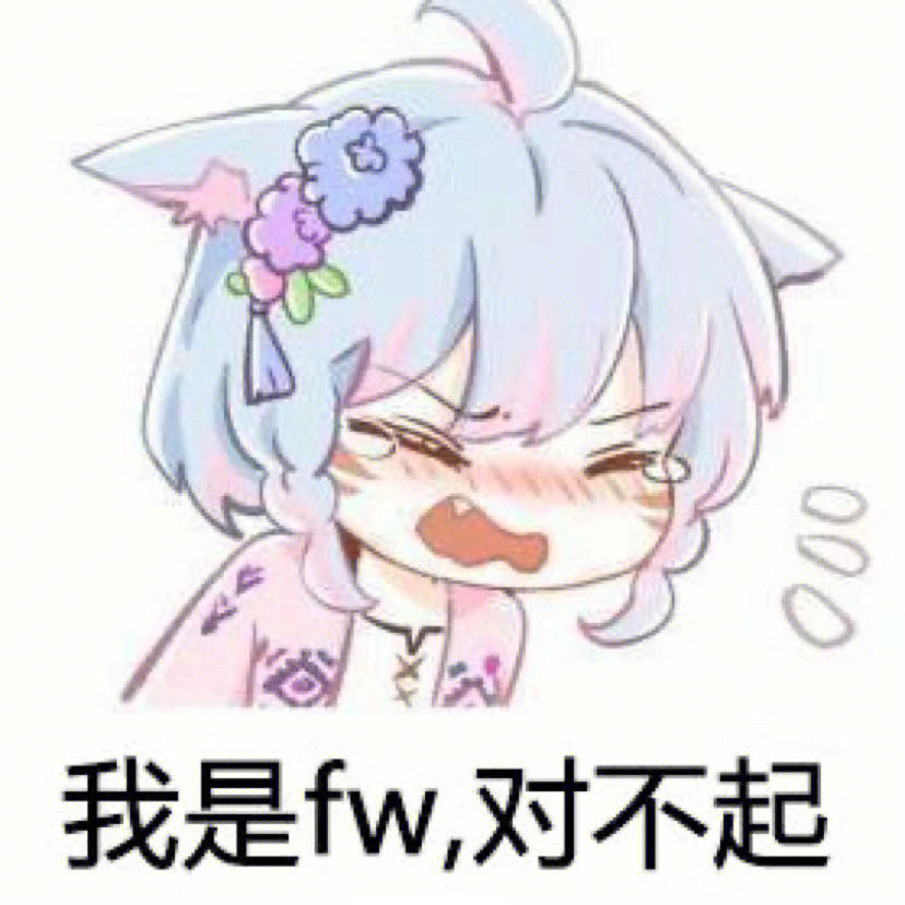 wtf表情包图片