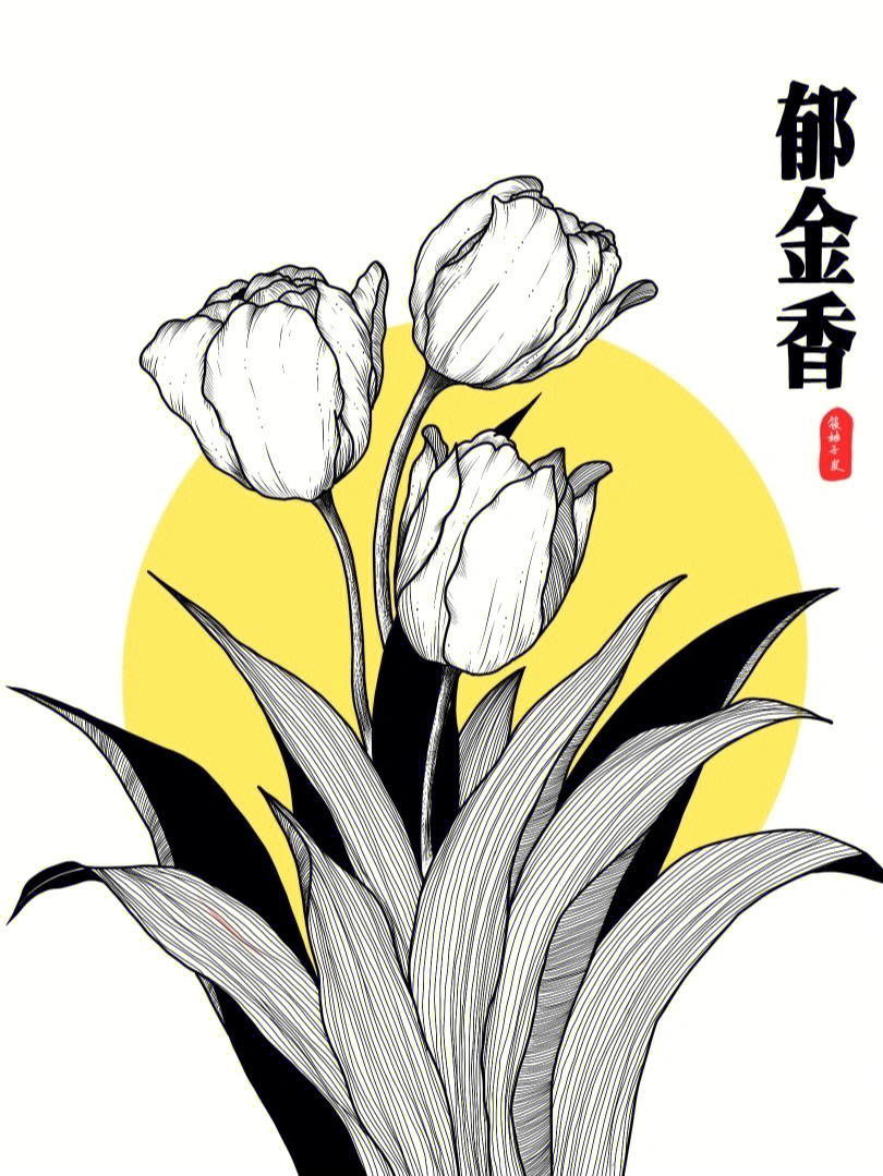 郁金香花画法图片