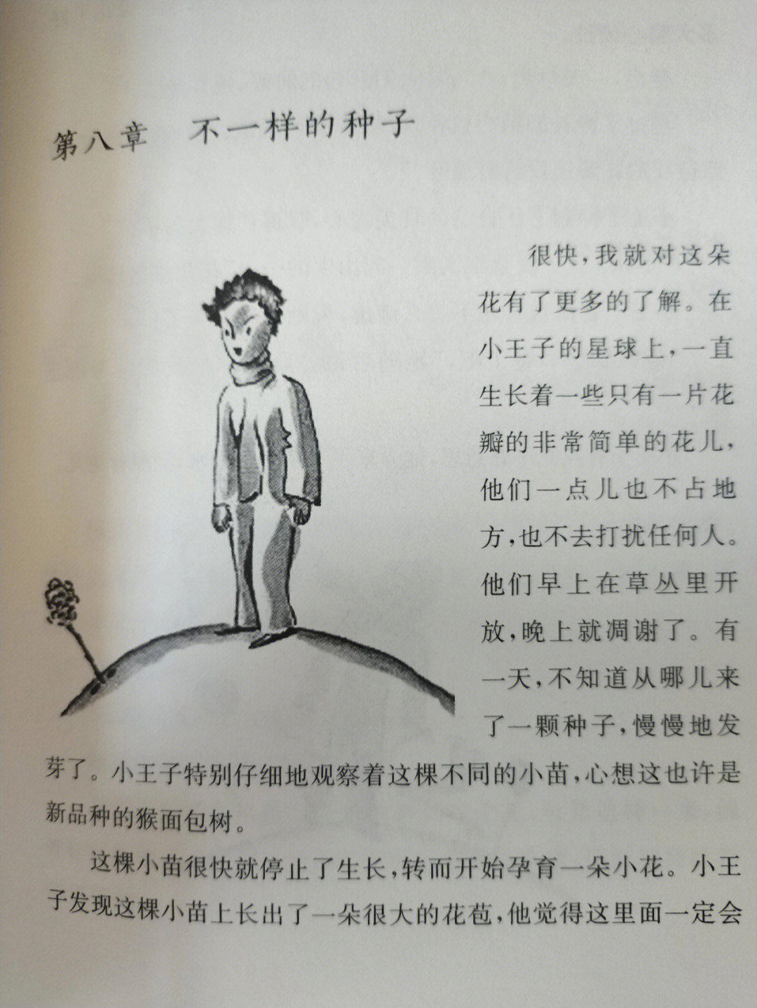 前言小王子图片