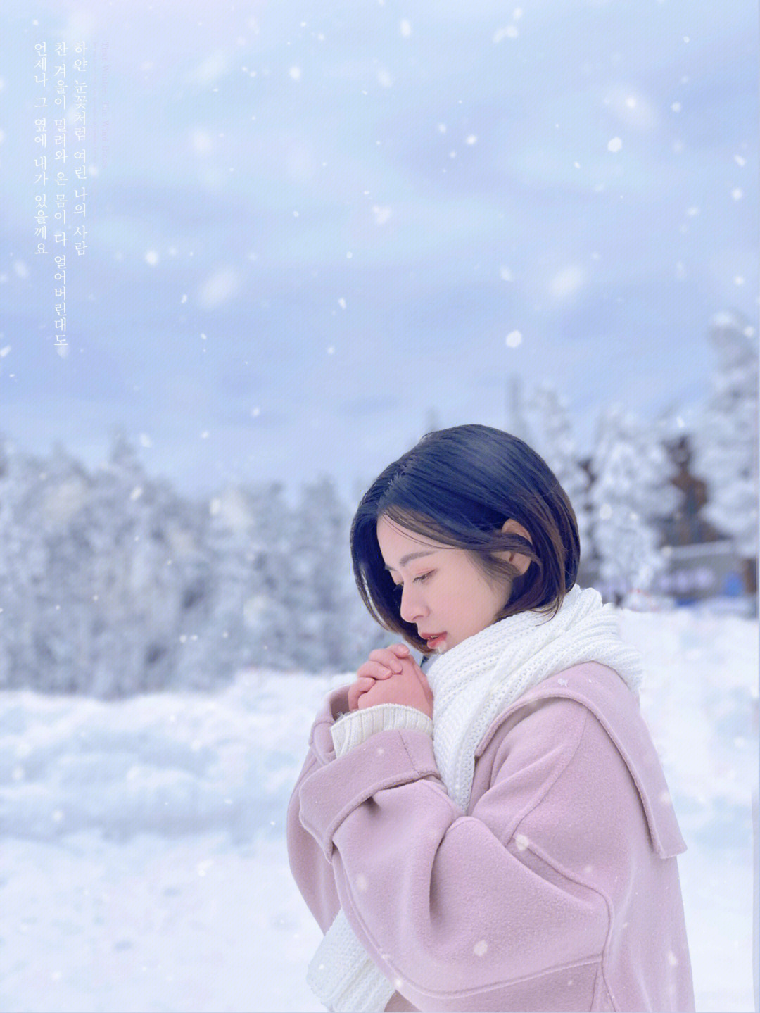 冬日恋歌歌曲图片