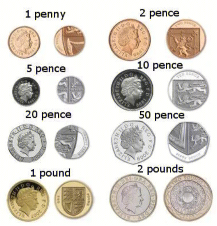 硬币的种类图片