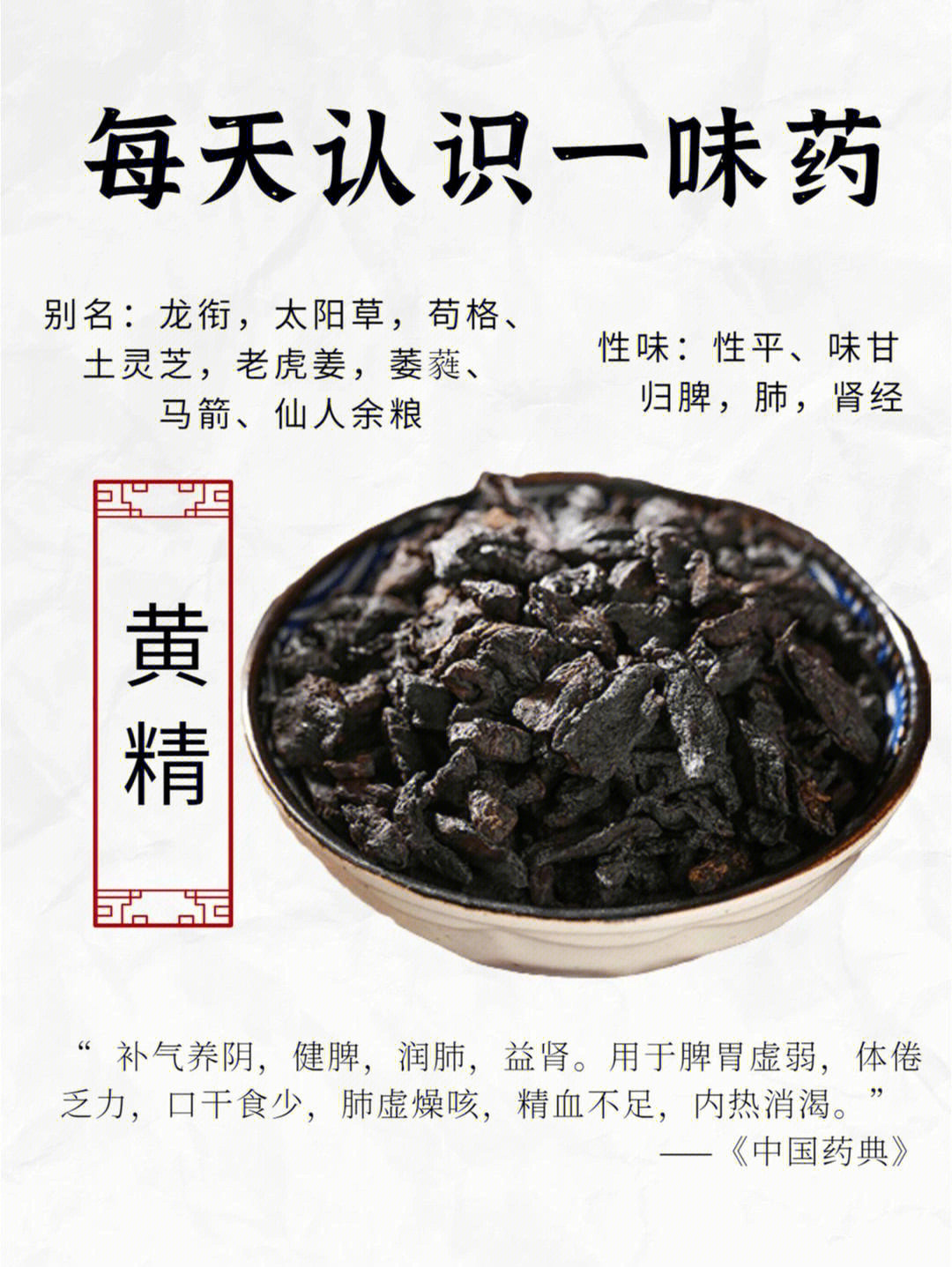 中药科普黄精