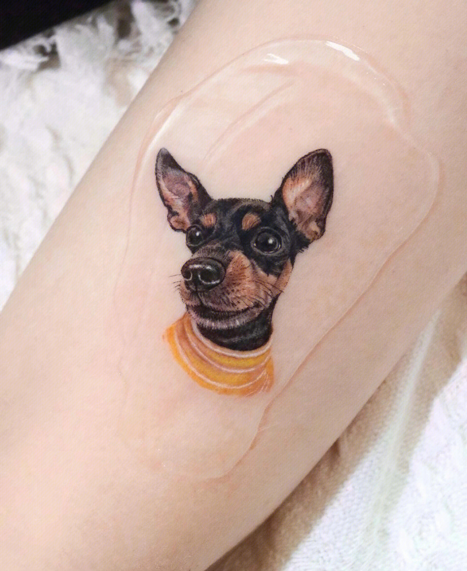 主人我是你的狗纹身图片