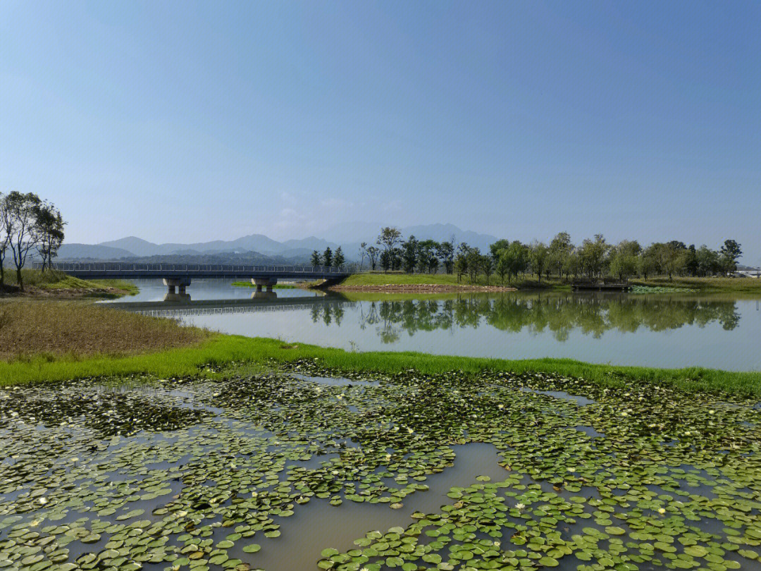 国庆节游九江芳兰湖湿地公园