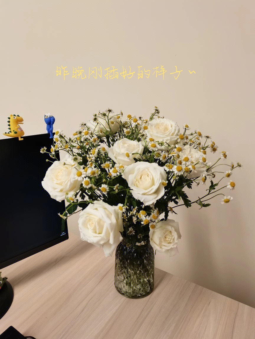 白玫瑰加洋甘菊花语图片