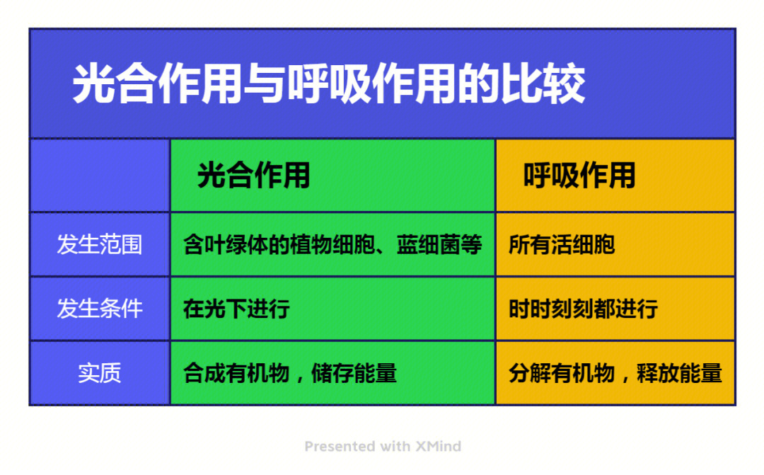 光合作用与呼吸作用有何联系04