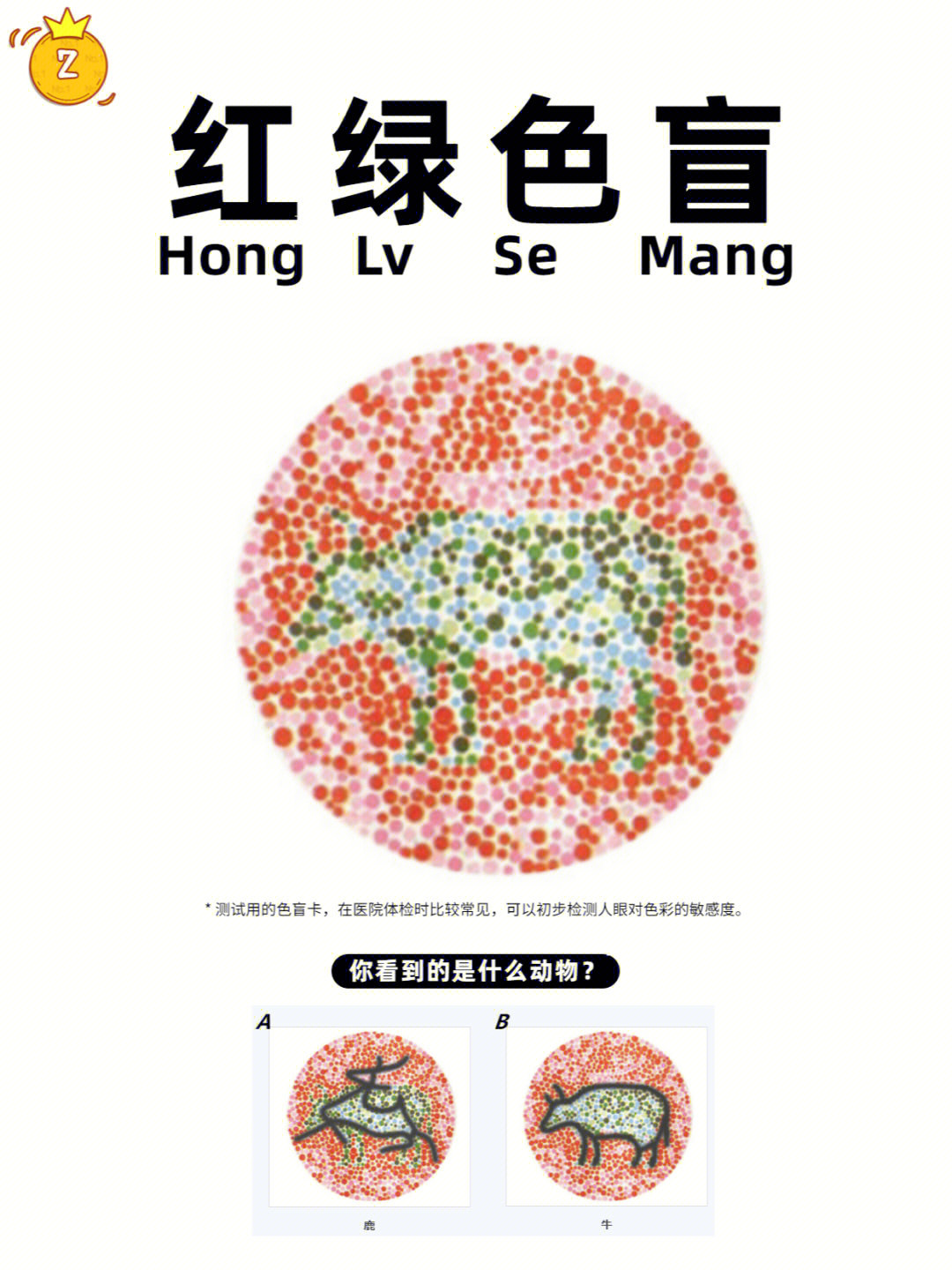 90答案来了~图1:测红绿色盲