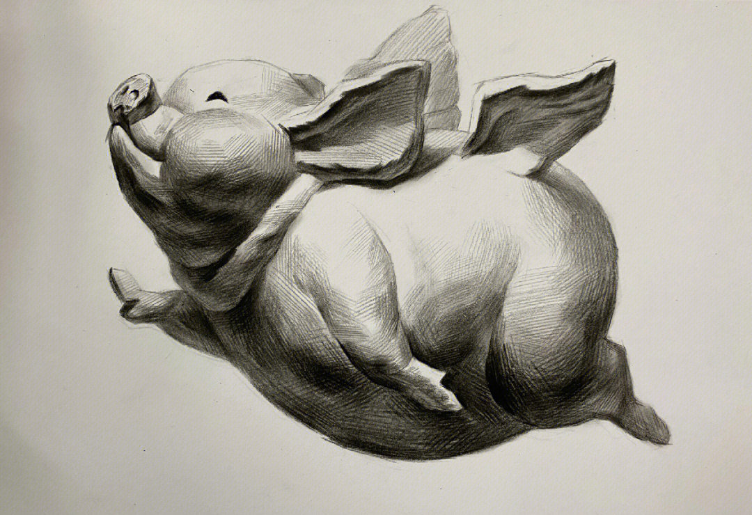 猪的设计素描创意图片图片