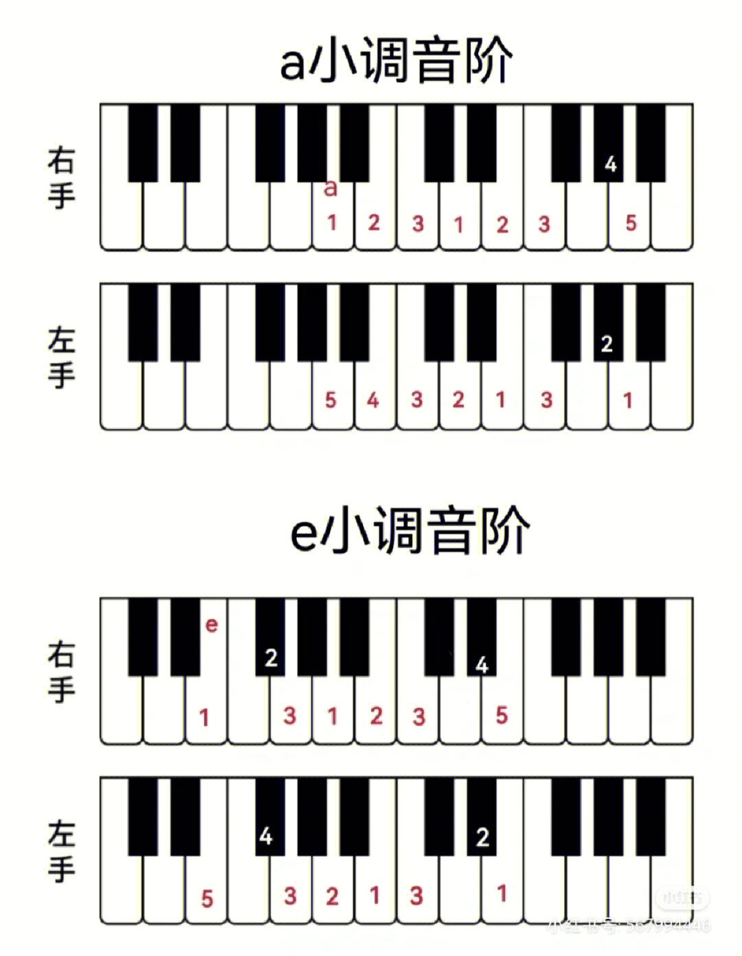 钢琴知识小调音阶键盘图