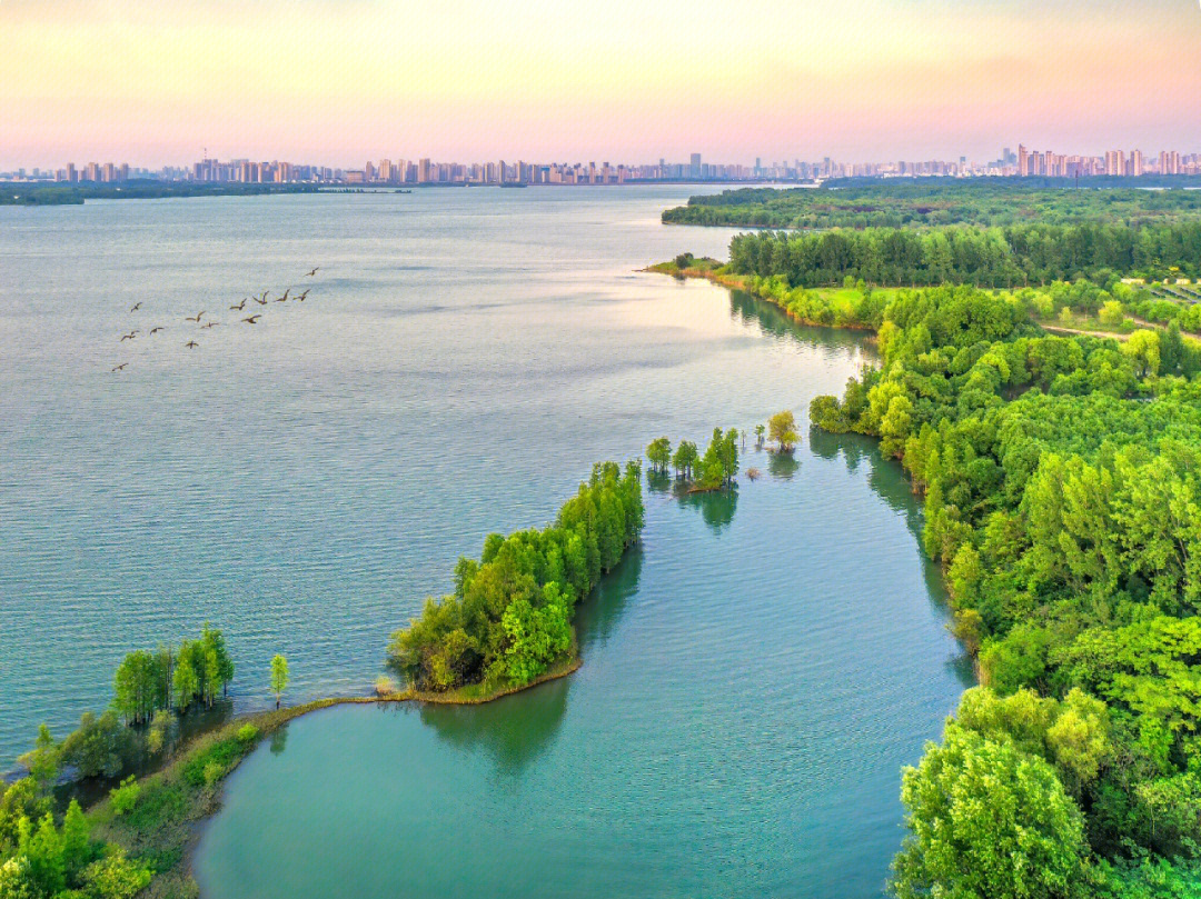 合肥董铺湿地公园图片