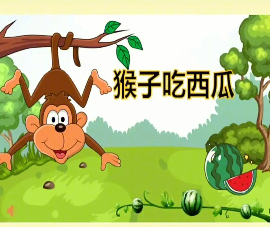 个人展示小才能猴吃西瓜