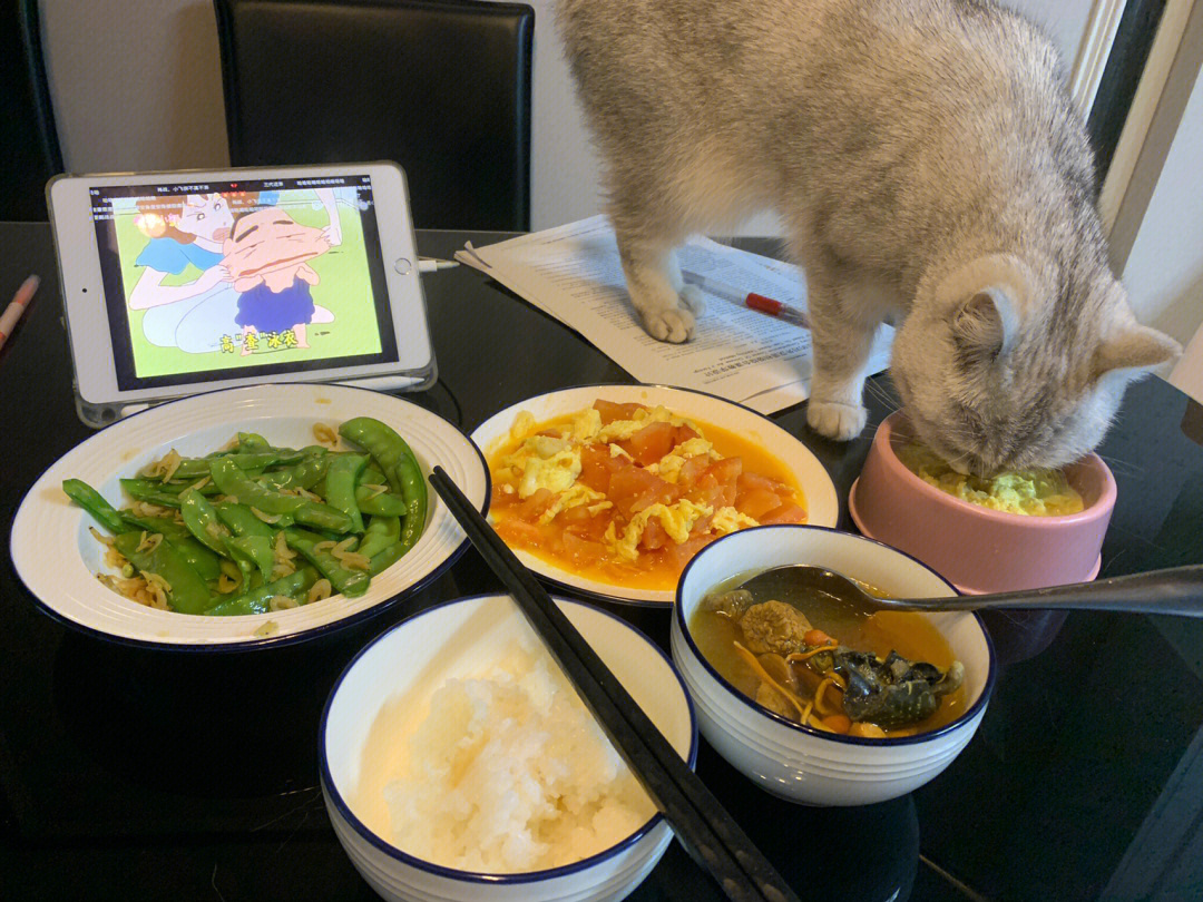 鸡胸肉蒸蛋黄小猫咪吃了都说好的自制猫饭