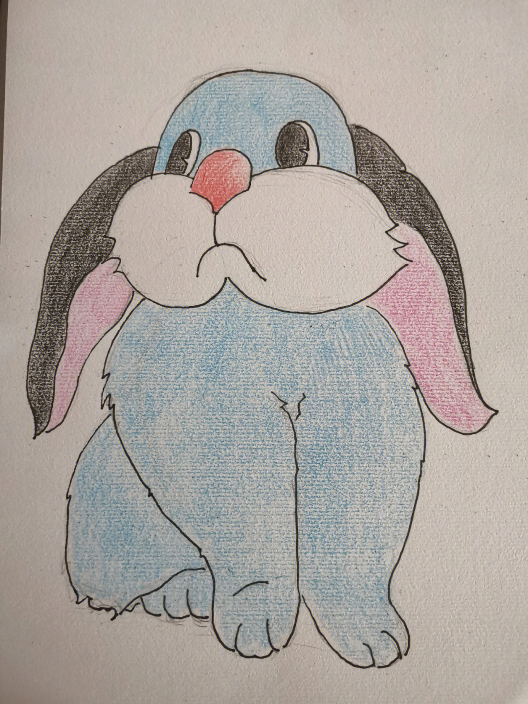 简笔画34跟我画一只简单的大兔子