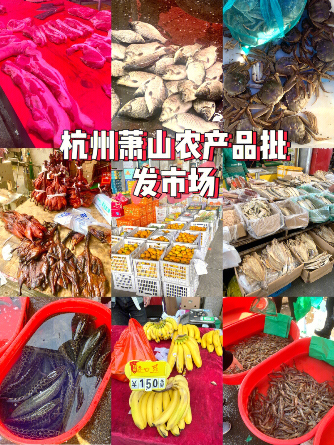 杭州最大农产品批发市场09海鲜蔬果干货