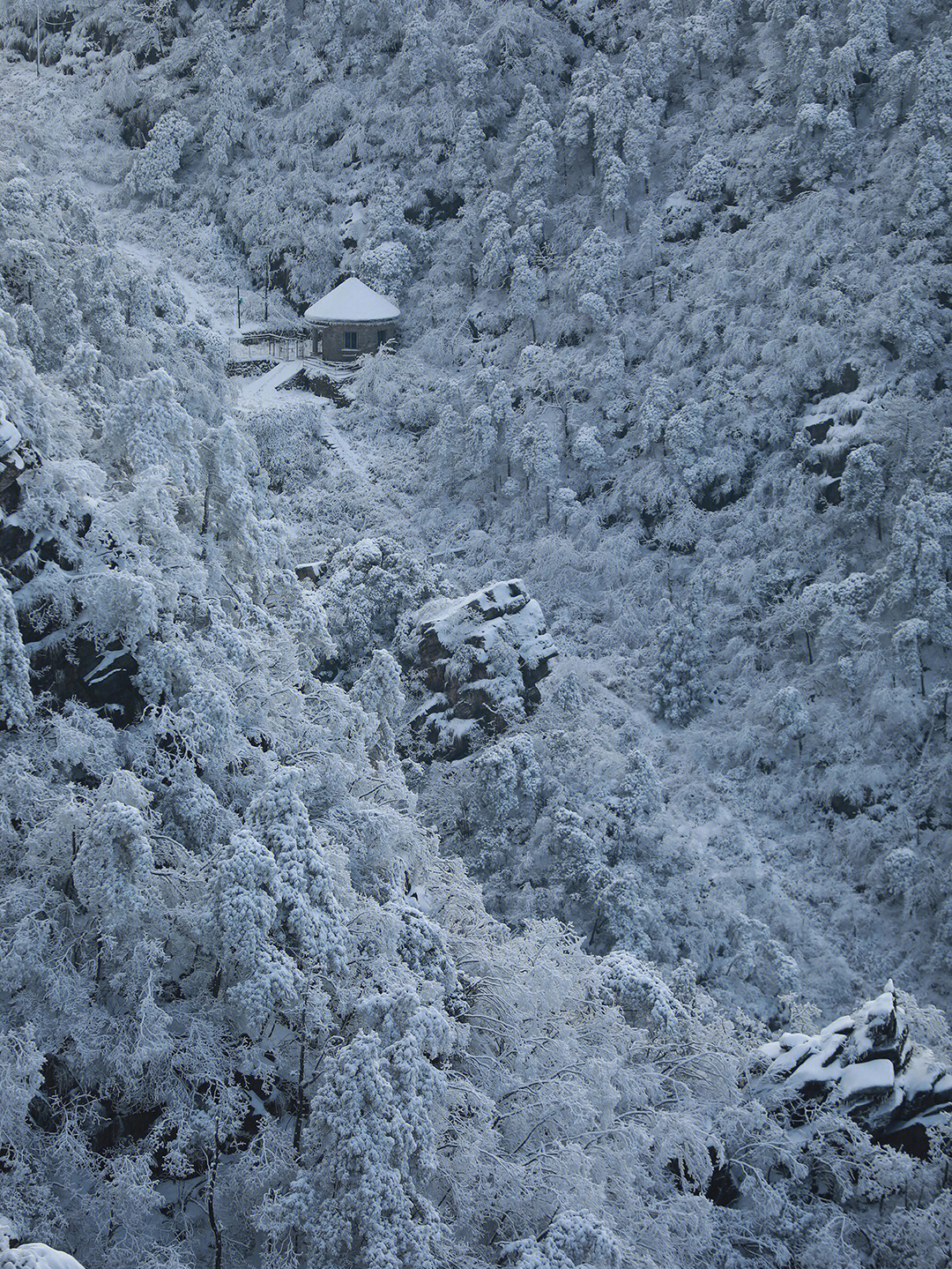 雪景摄影作品点评图片