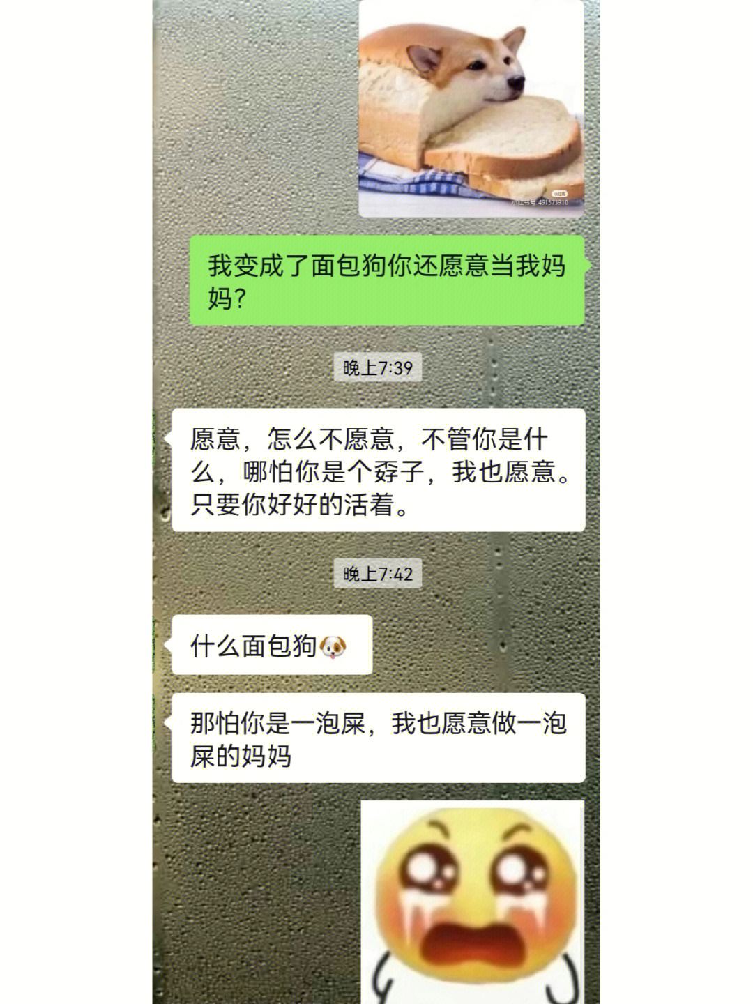 我就是妈宝女,妈妈说我变成面包93也爱我以后要好好孝敬妈妈～等我