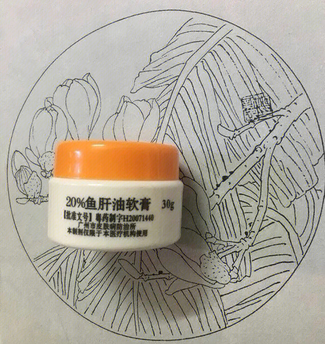 鱼肝油焗豆视06第一天