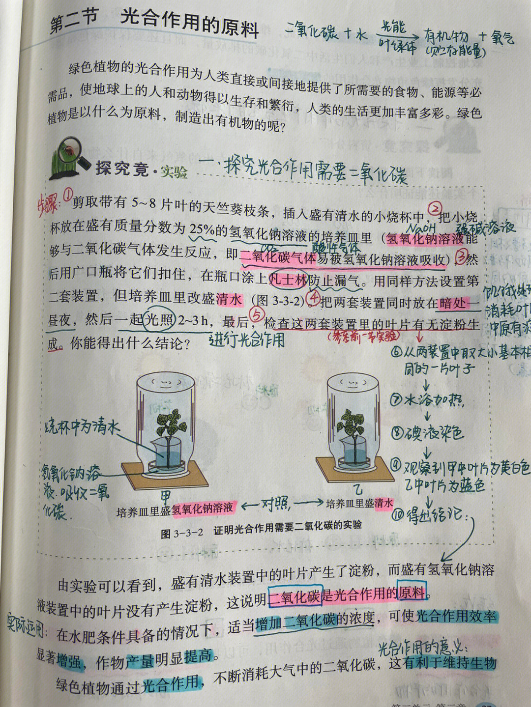 生物光合作用笔记图片图片