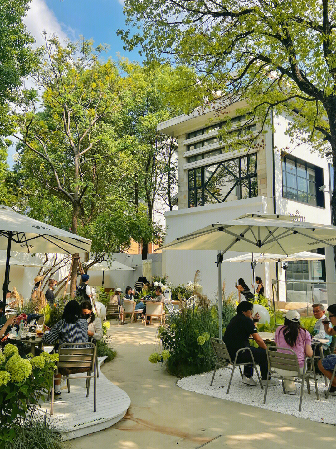 韩国街新晋绝美花园庭院咖啡馆氛围感爆棚