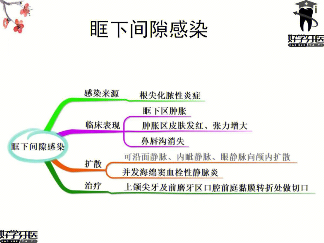 口腔间隙感染思维导图分享