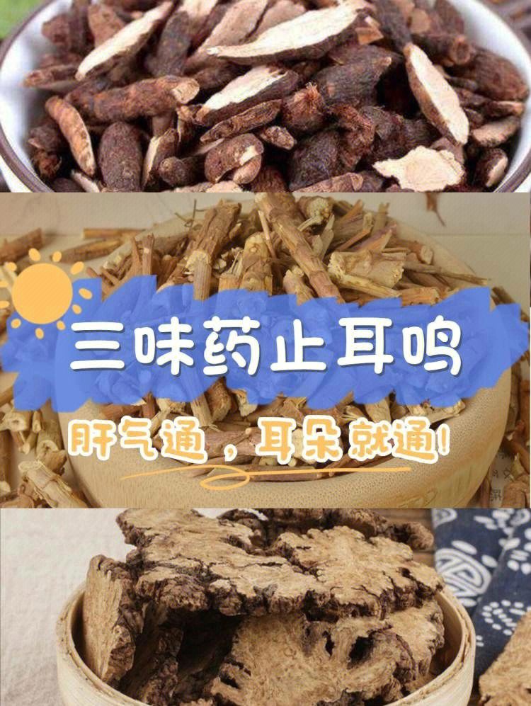 华口草有什么功效作用图片