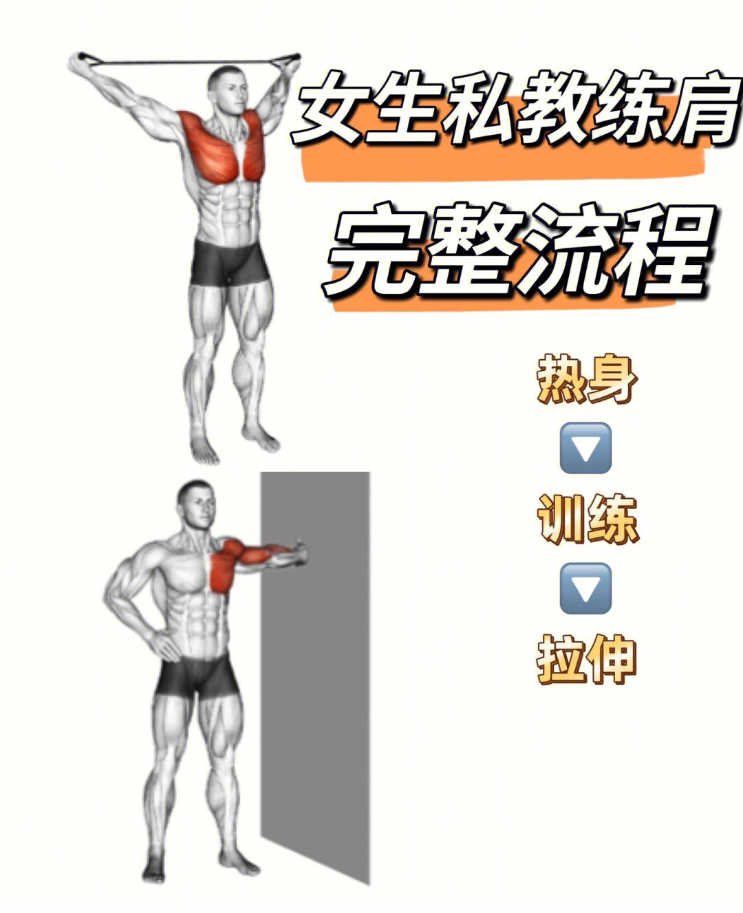 肩部肌肉锻炼方法图片