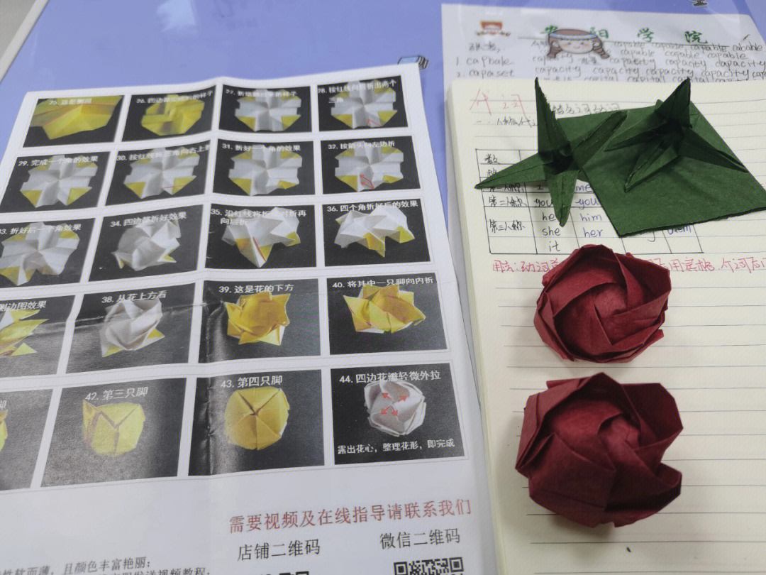 川崎玫瑰的花语图片