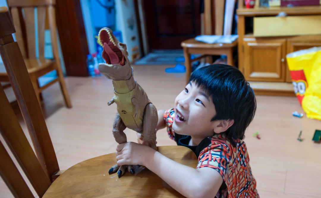 一个喜欢恐龙的小男孩