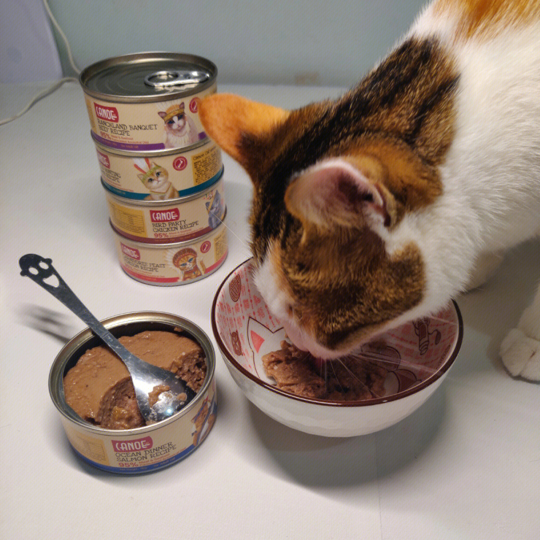 适口性挺不错的猫咪罐头可努猫主食罐