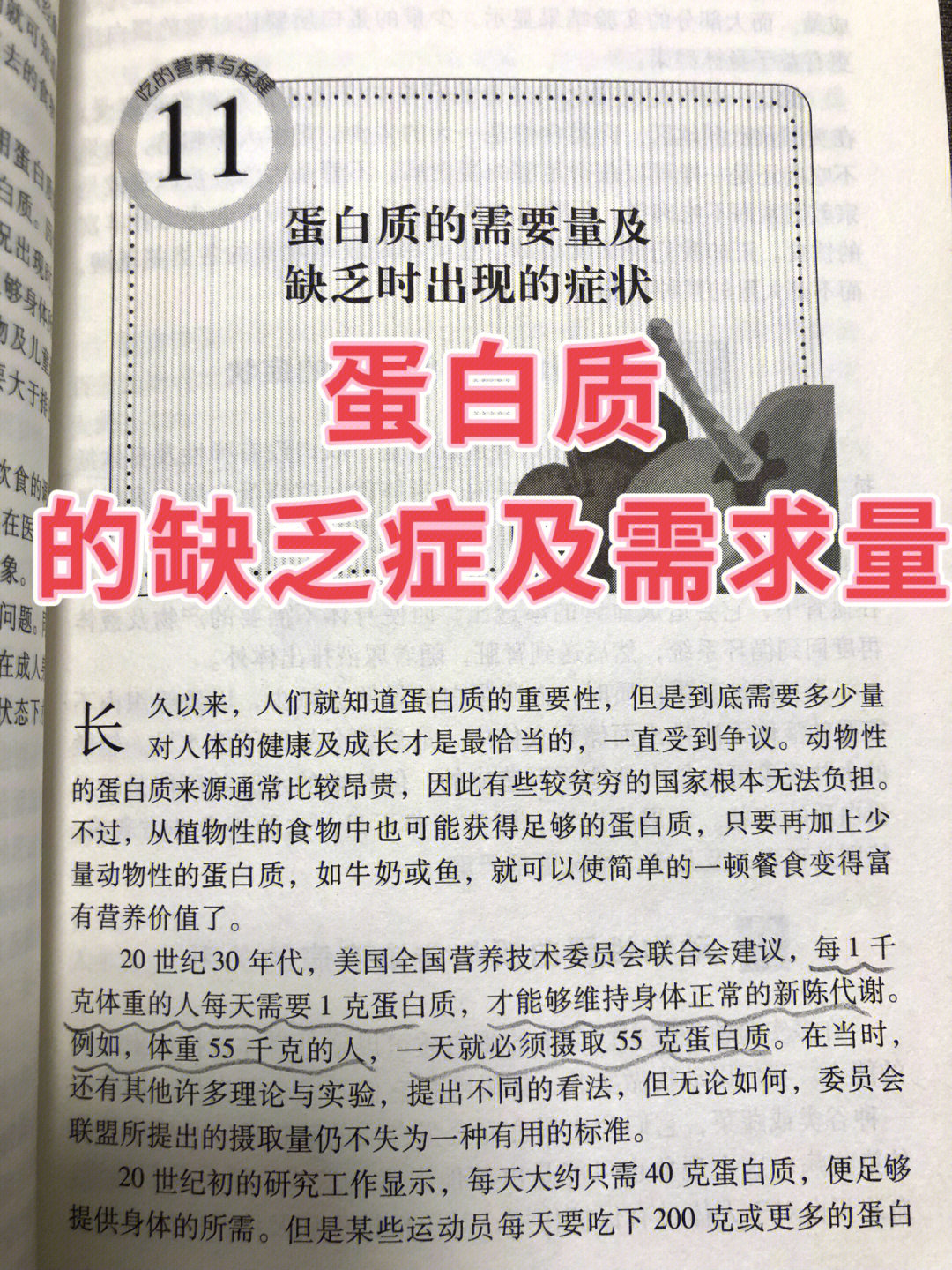 蛋白质的缺乏症及需求量