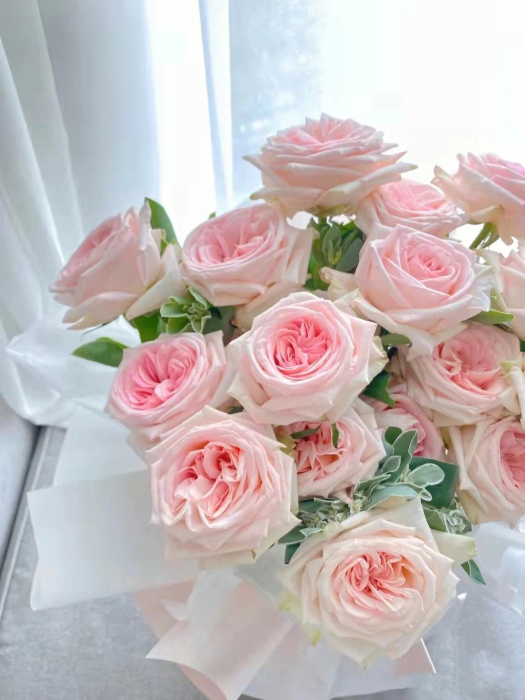 白色奥斯汀玫瑰花语图片