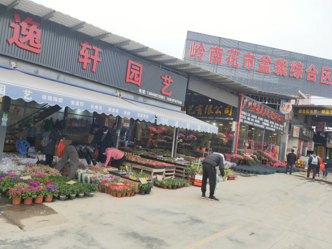 广州岭南花卉市场