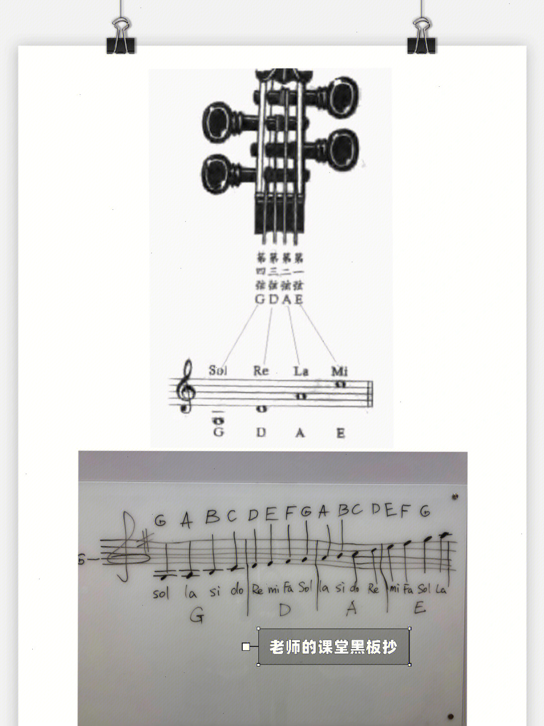 大提琴四根弦音名图图片