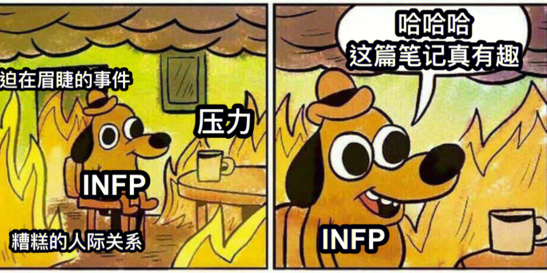 infpmeme图片