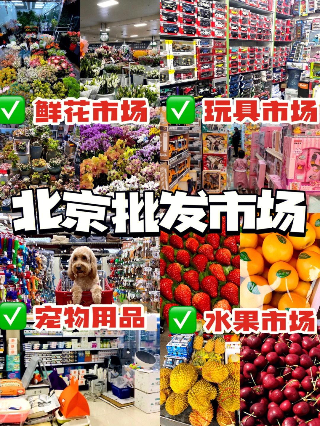 北京批发市场水果宠物玩具鲜花60屯年货
