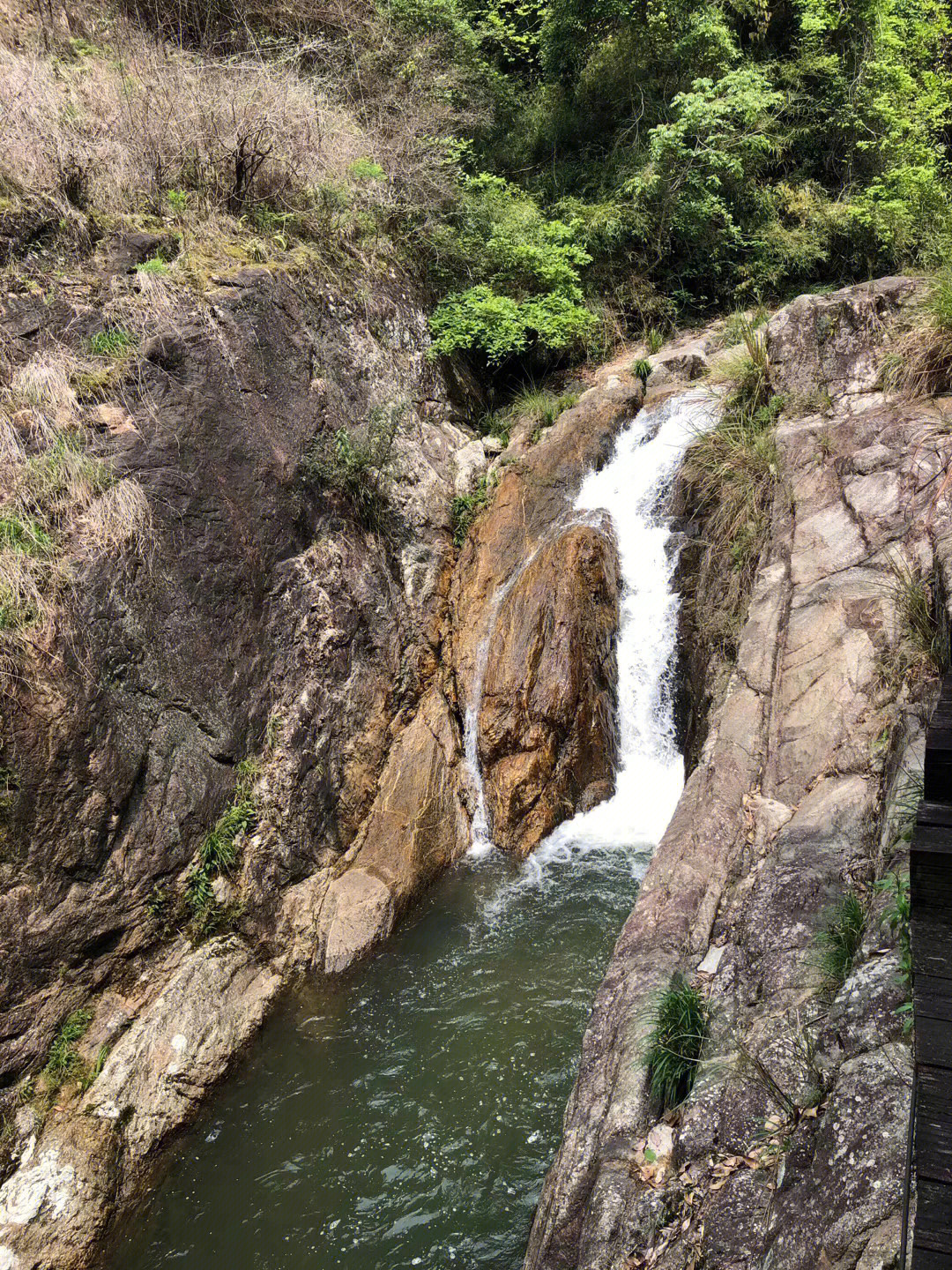 武平梁野山景区简介图片