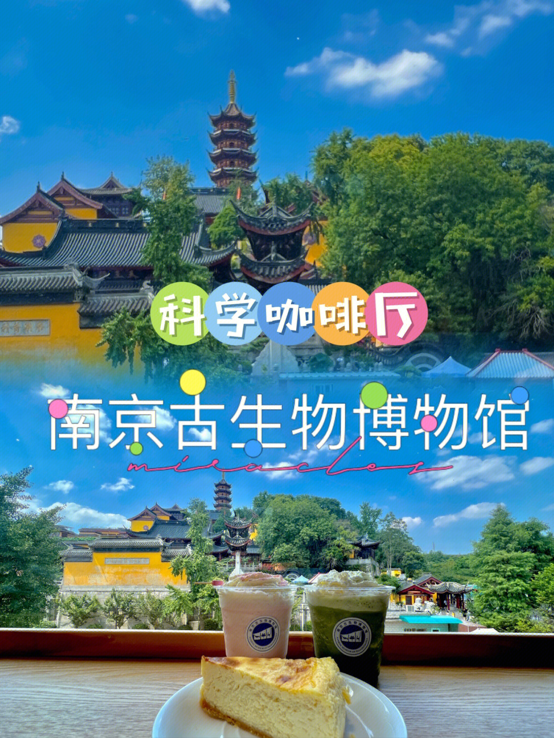 南京恐龙博物馆门票图片