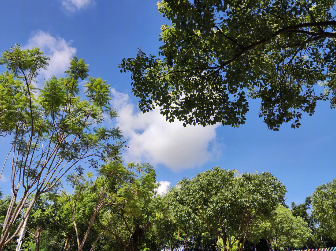 夏天の天空