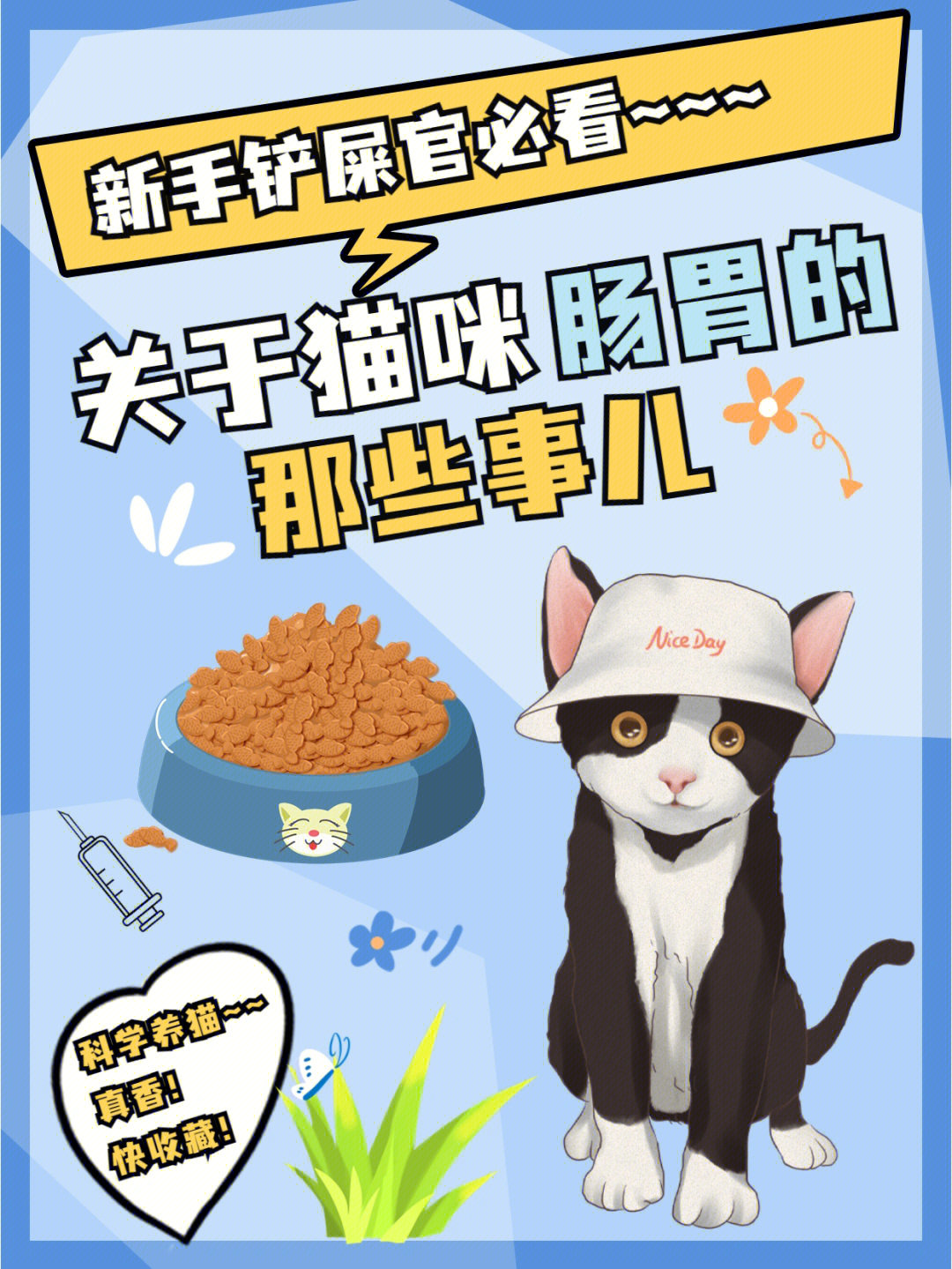 新手养猫必看关于猫咪肠胃的那些事儿