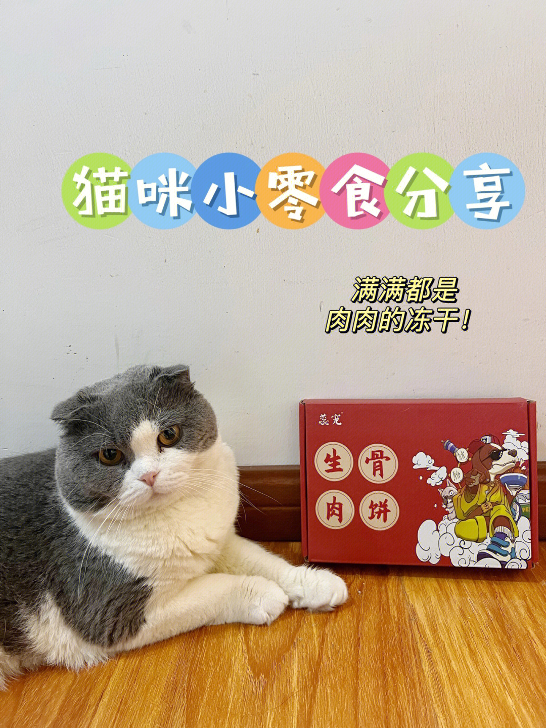 猫咪冻干零食分享