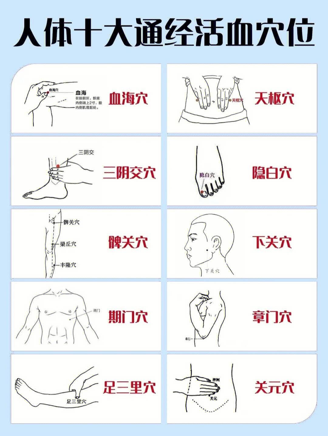 龙血通络图片