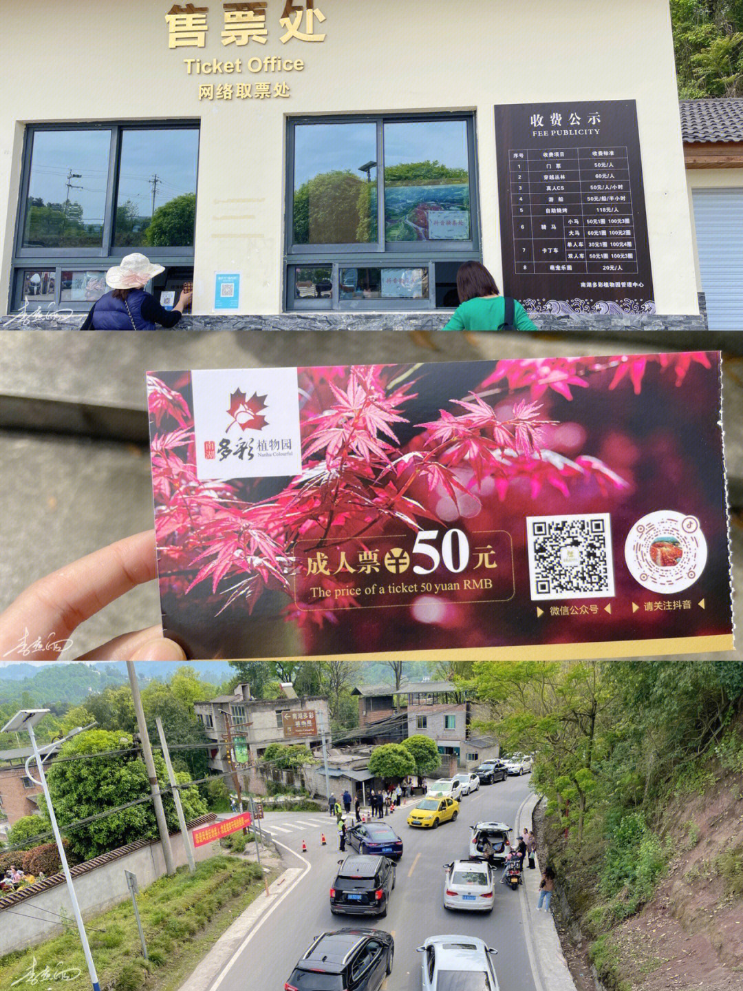 重庆植物园门票图片